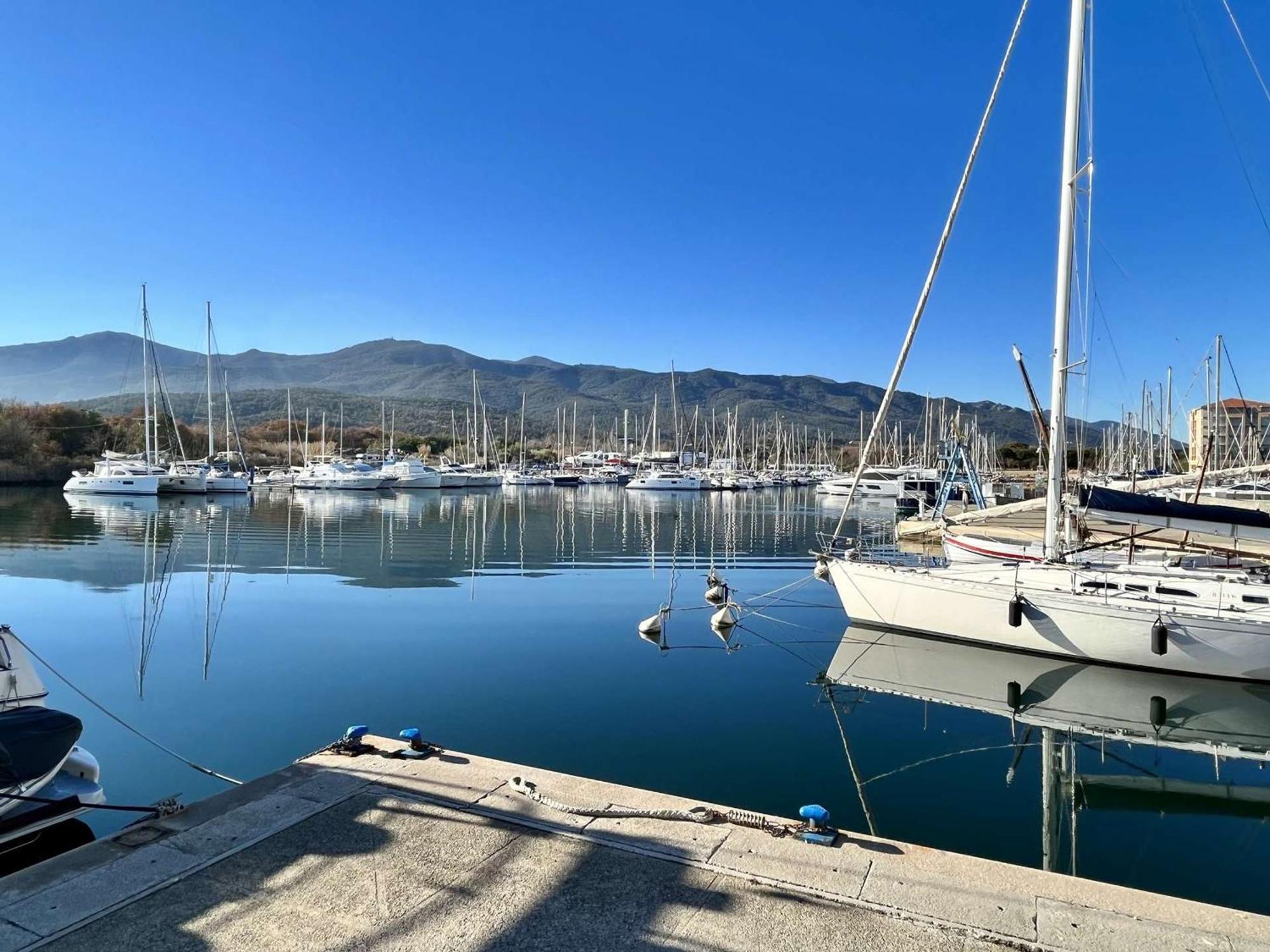 Appartement 3 Pieces Avec Terrasse Et Jardin, Proche Plage Et Commerces, 2 Parkings, Argeles-Sur-Mer - Fr-1-225-773 Dış mekan fotoğraf